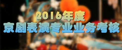 洞洞痒，想爱爱国家京剧院2016年度京剧表演专业业务考...